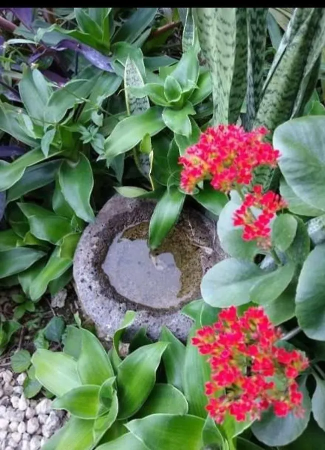 Inn Posada Ixchel Xul-Ha