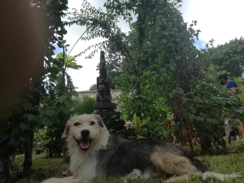 Posada Ixchel Xul-Ha 0*,  Mexico