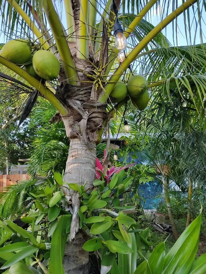 Posada Ixchel Xul-Ha Inn