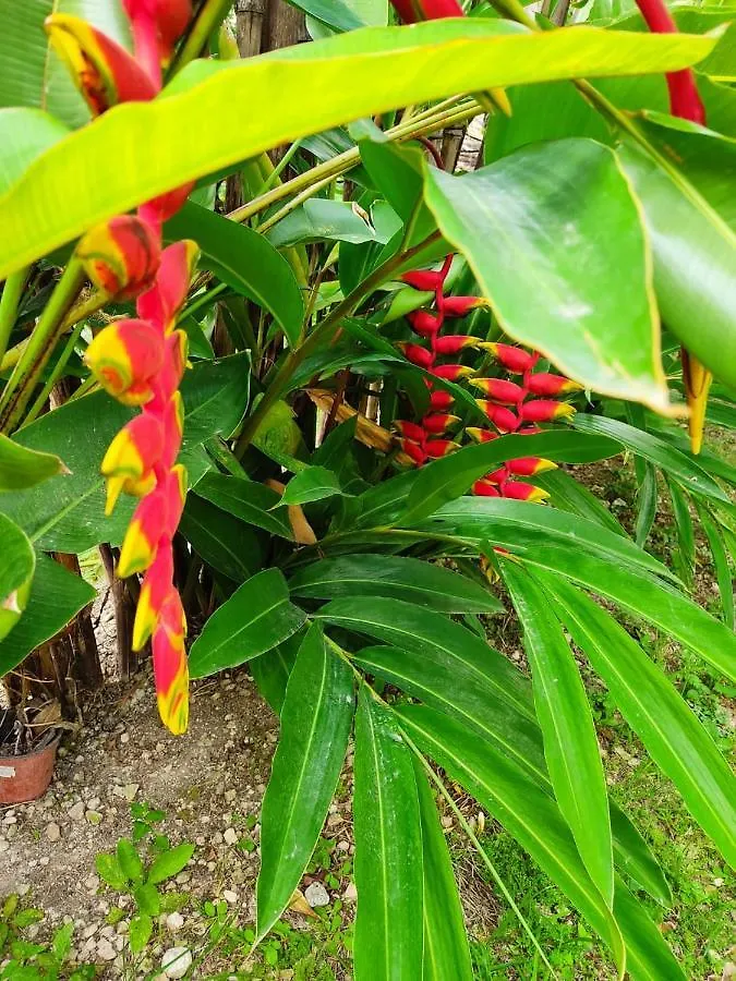 Inn Posada Ixchel Xul-Ha